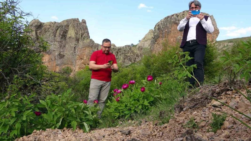 Şifa deposu fakat sadece 15 gün ömrü var! Ağrı kesici ve antioksidan etkiye sahip 11